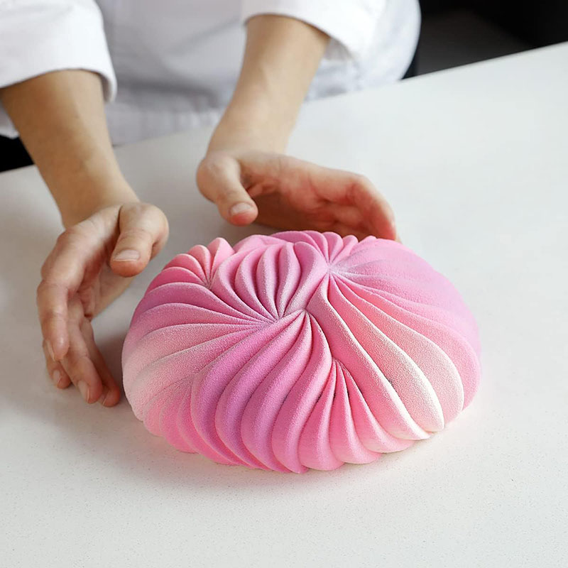 Runde Mousse-Kuchenform zum Ba – Zyliss Kitchen Gadgets Bewertung und Preis