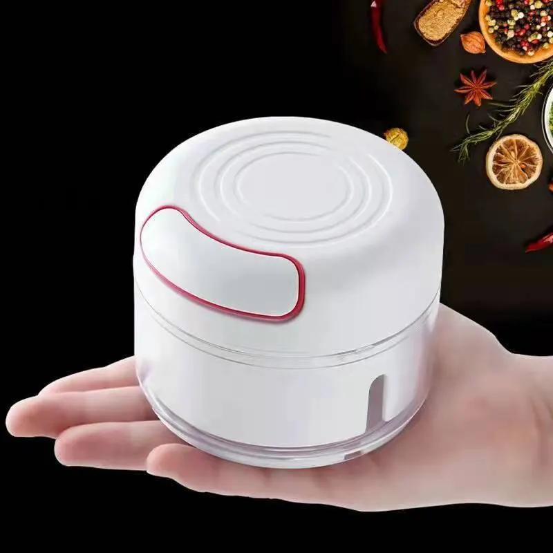 Kunststoff Knoblauch Brecher P – Kitchen Gadgets Vegetable Chopper Bewertung und Preis